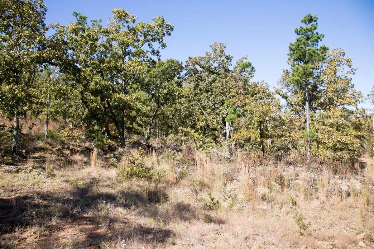 Decorative background for Stone Creek Phase I Tract 153 image 10