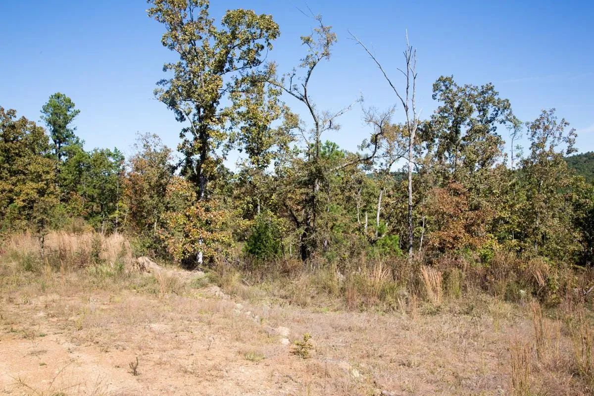 Decorative background for Stone Creek Phase I Tract 153 image 11
