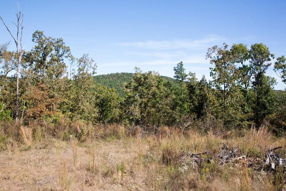 Decorative background for Stone Creek Phase I Tract 153 image 12