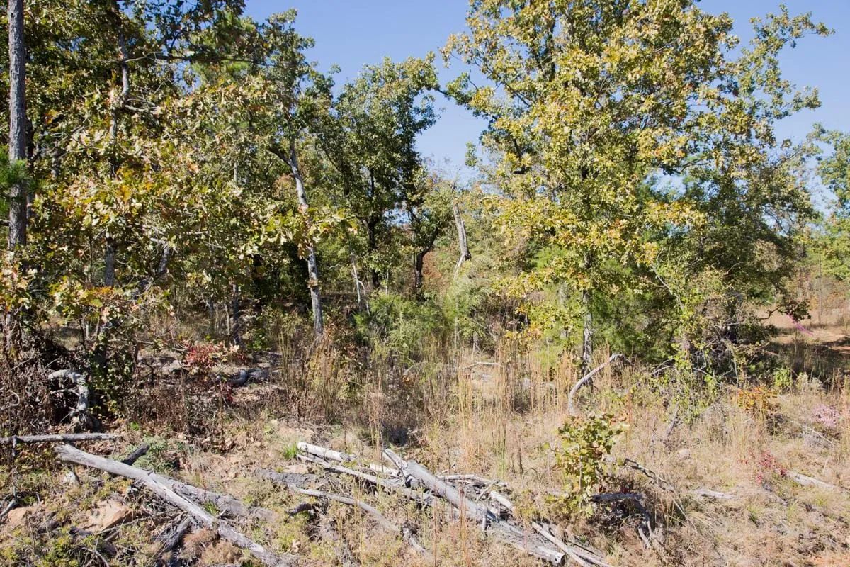 Decorative background for Stone Creek Phase I Tract 153 image 13