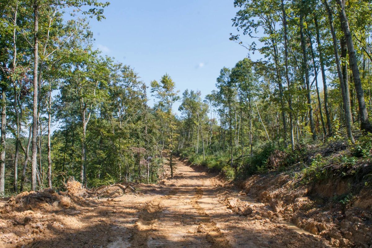 Wounded Oak Tract 2 - Main image