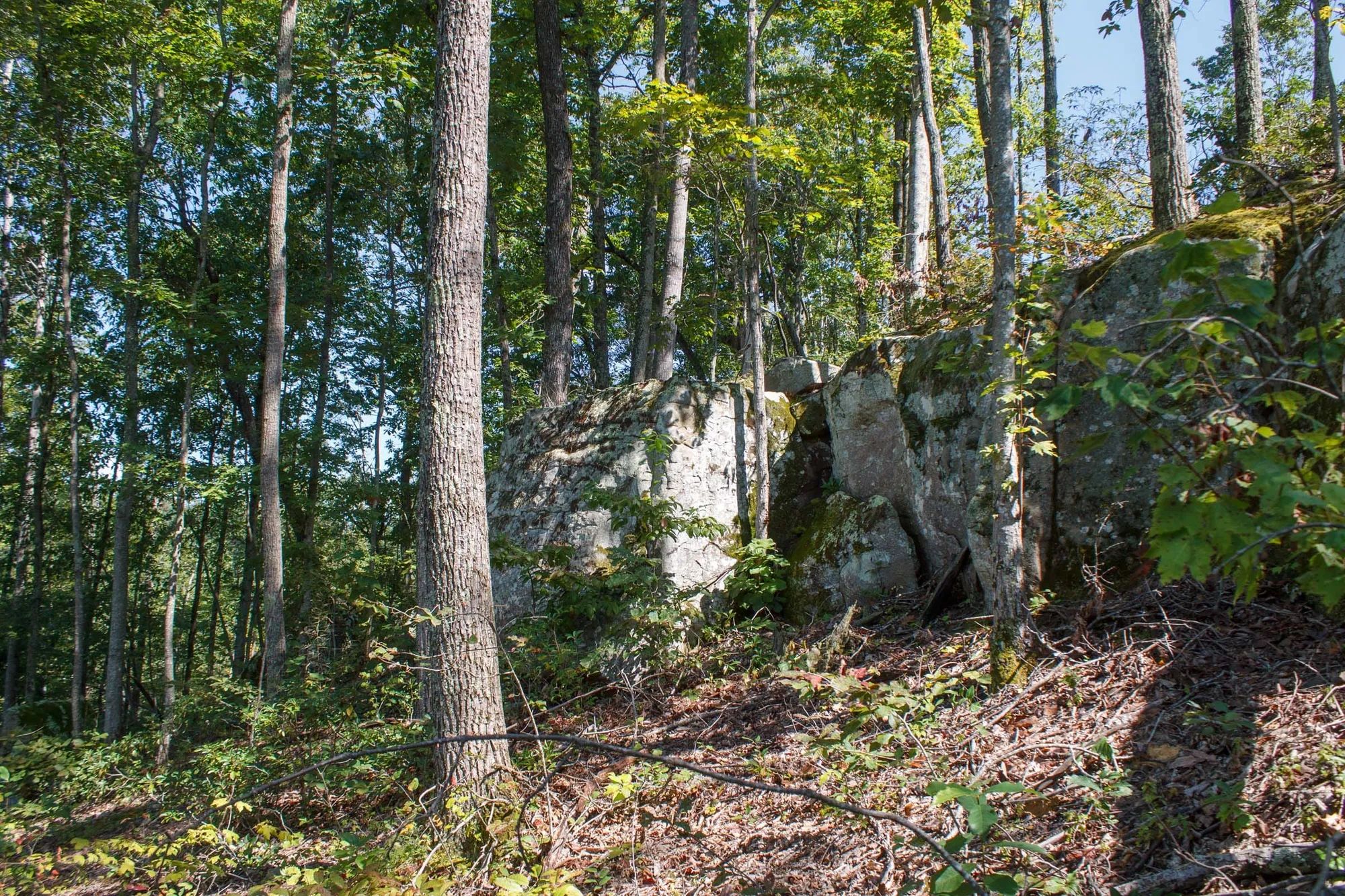 Wounded Oak Tract 2 in Rockcastle County, KY