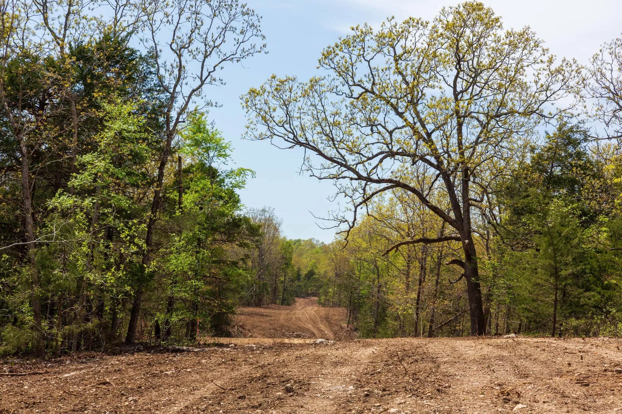 Autumnwood Tract 10 in Fulton County, AR