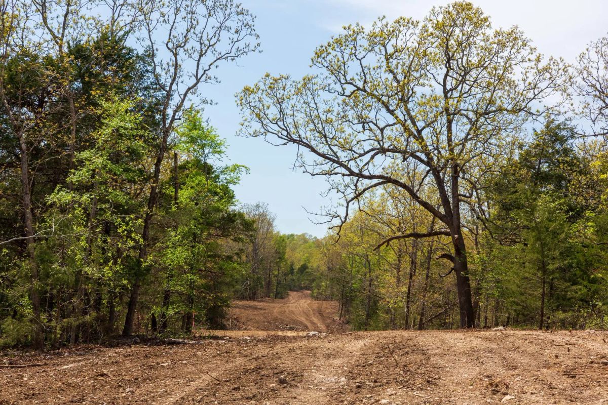 Autumnwood Tract 10 - Main image