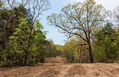 Autumnwood Tract 10