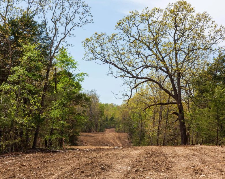 Autumnwood Tract 10 in Fulton County, AR