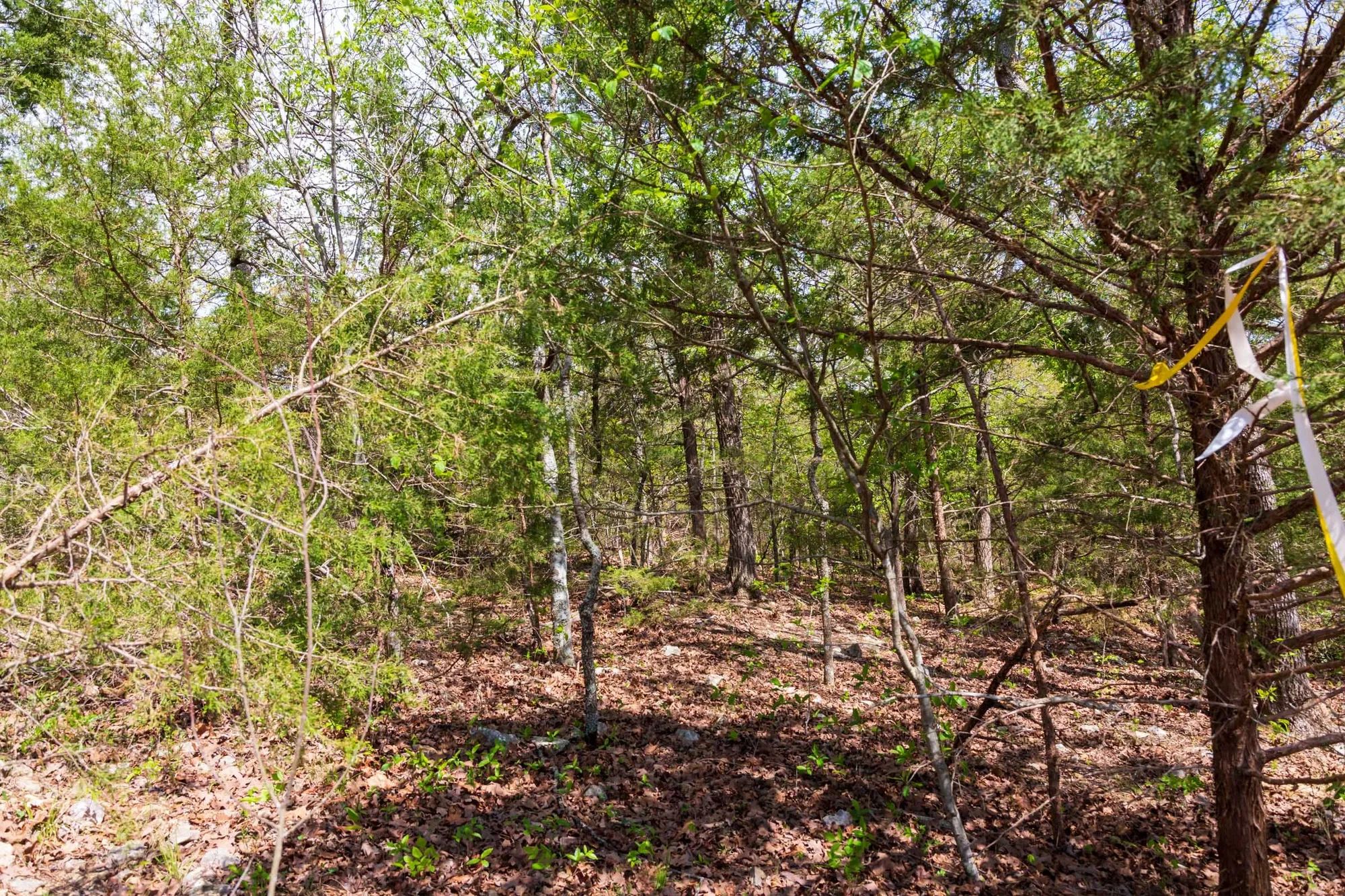 Autumnwood Tract 10 in Fulton County, AR