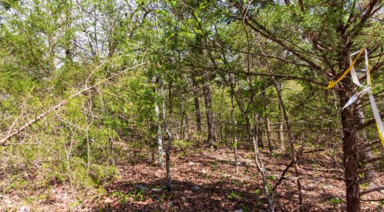 Autumnwood Tract 10 in Fulton County, AR