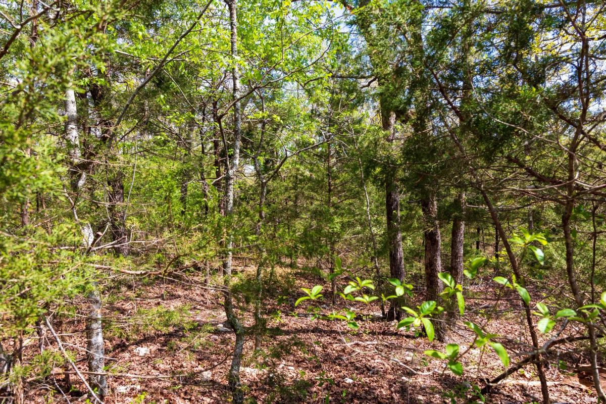 Autumnwood Tract 10 - Image 3