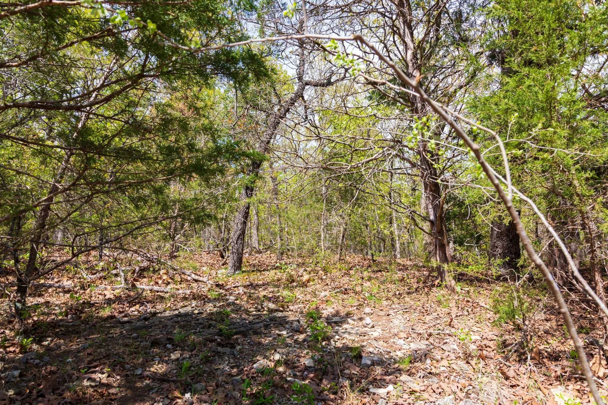 Autumnwood Tract 10 in Fulton County, AR