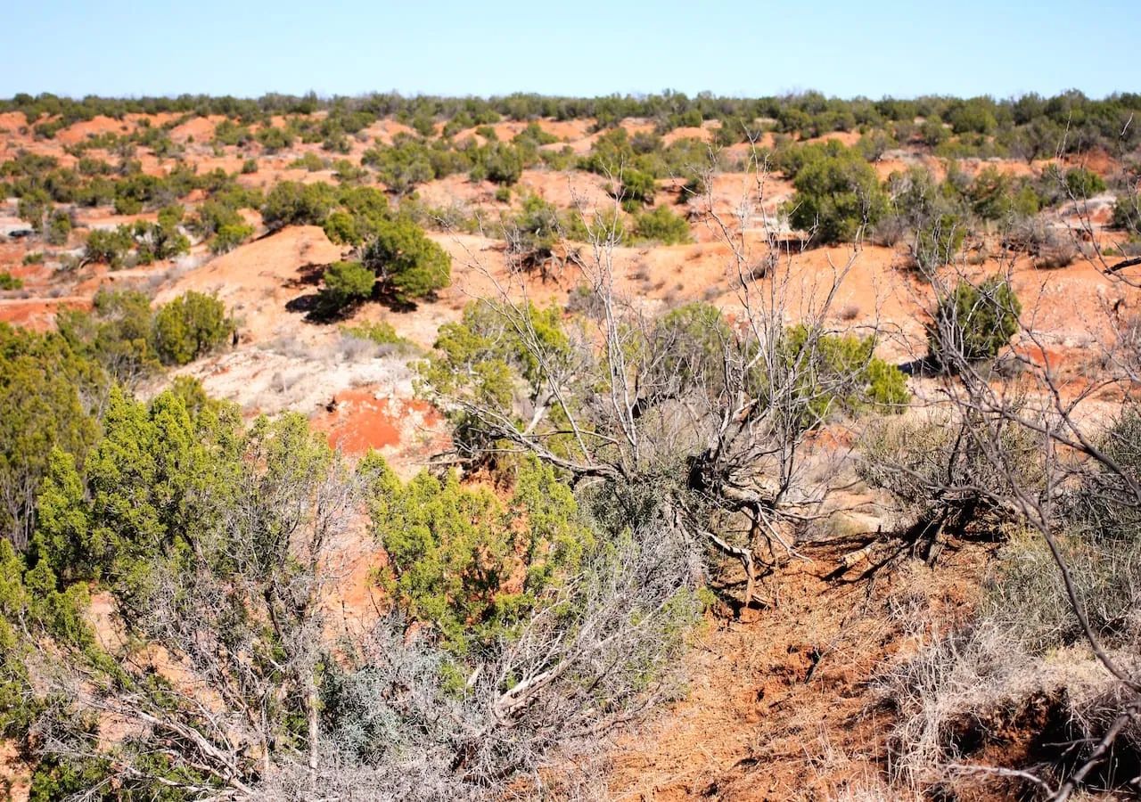Red Rock Ranch Tract 7 in Knox County, TX