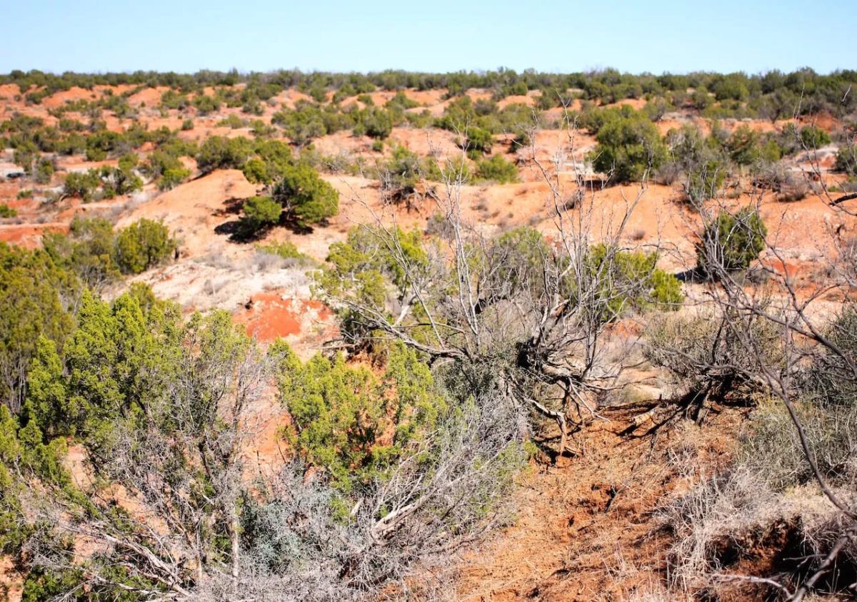 Red Rock Ranch Tract 7 - Image 4