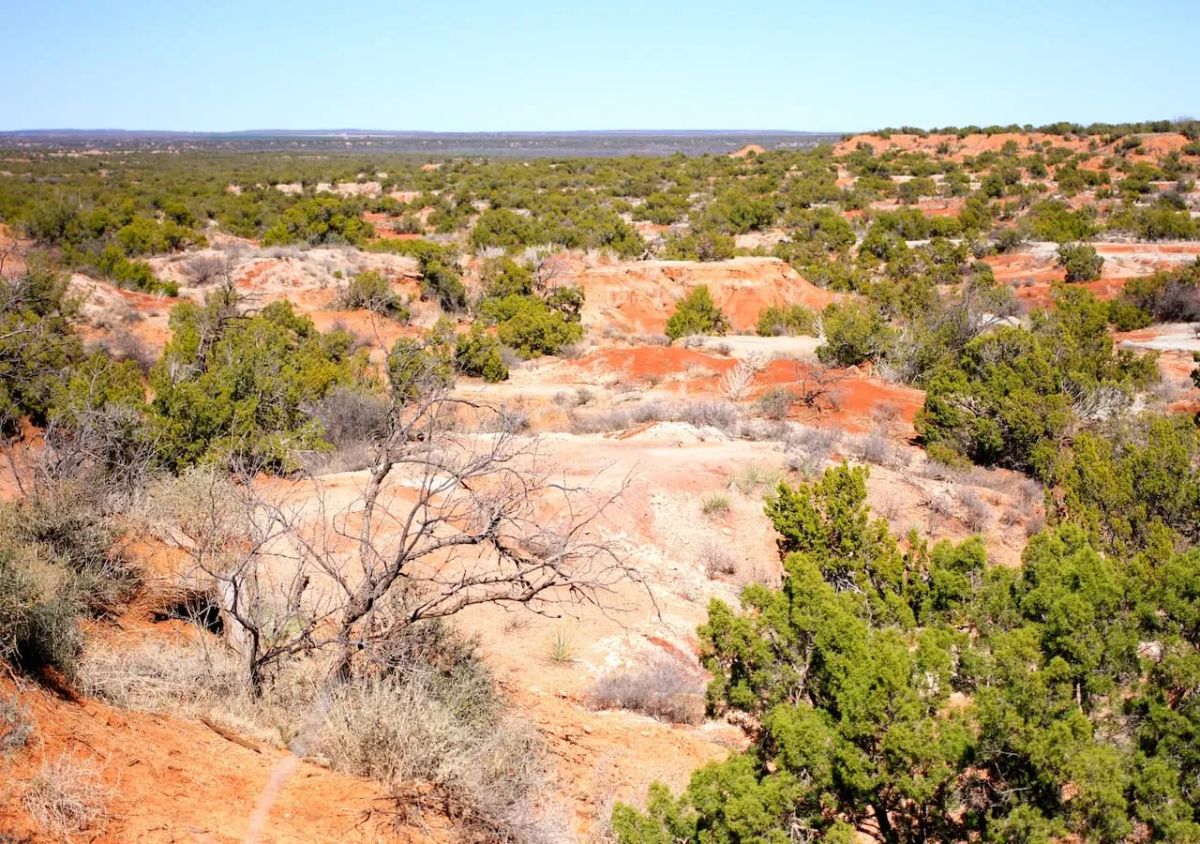 Decorative background for Red Rock Ranch Tract 7 image 5