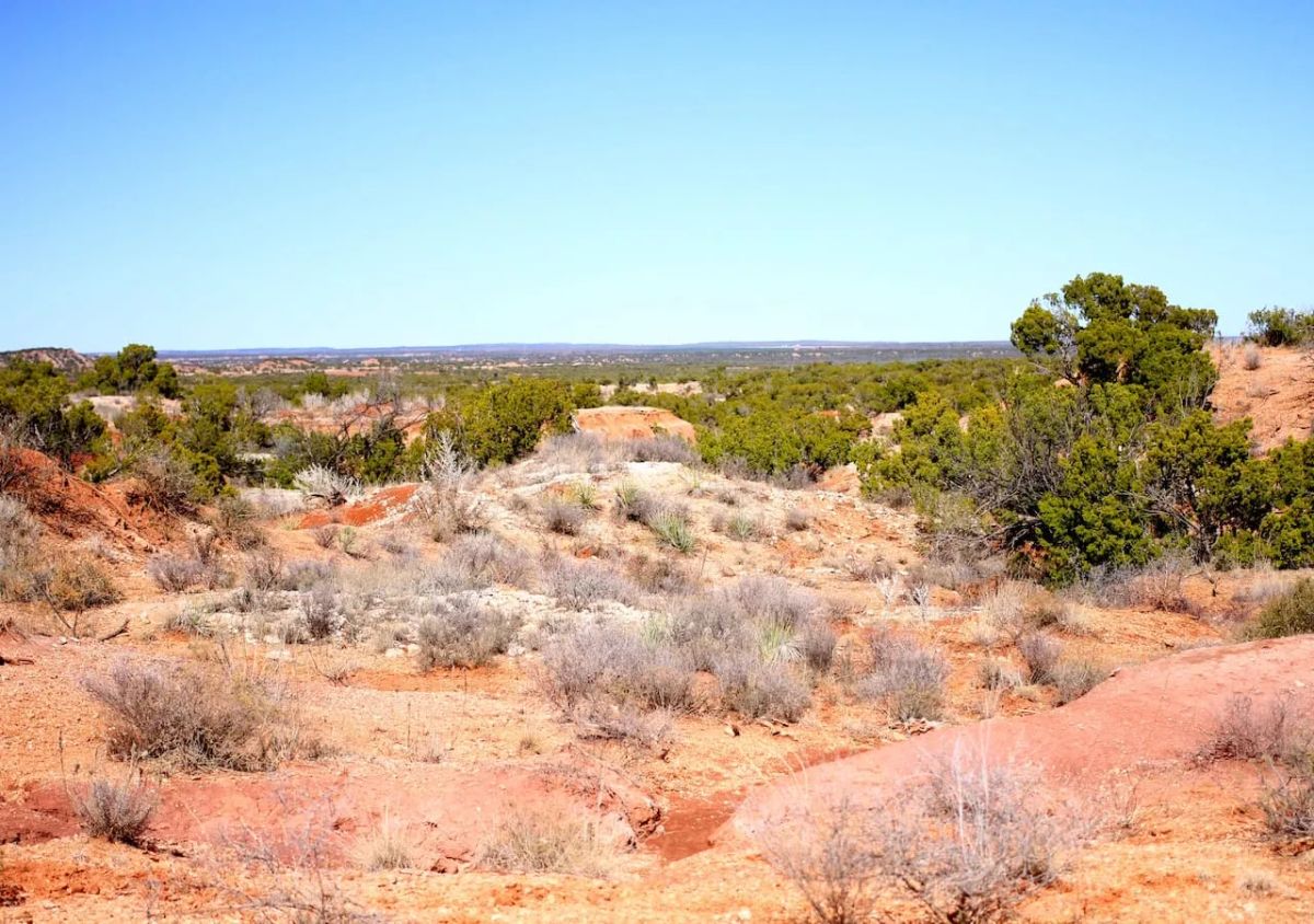 Decorative background for Red Rock Ranch Tract 7 image 6