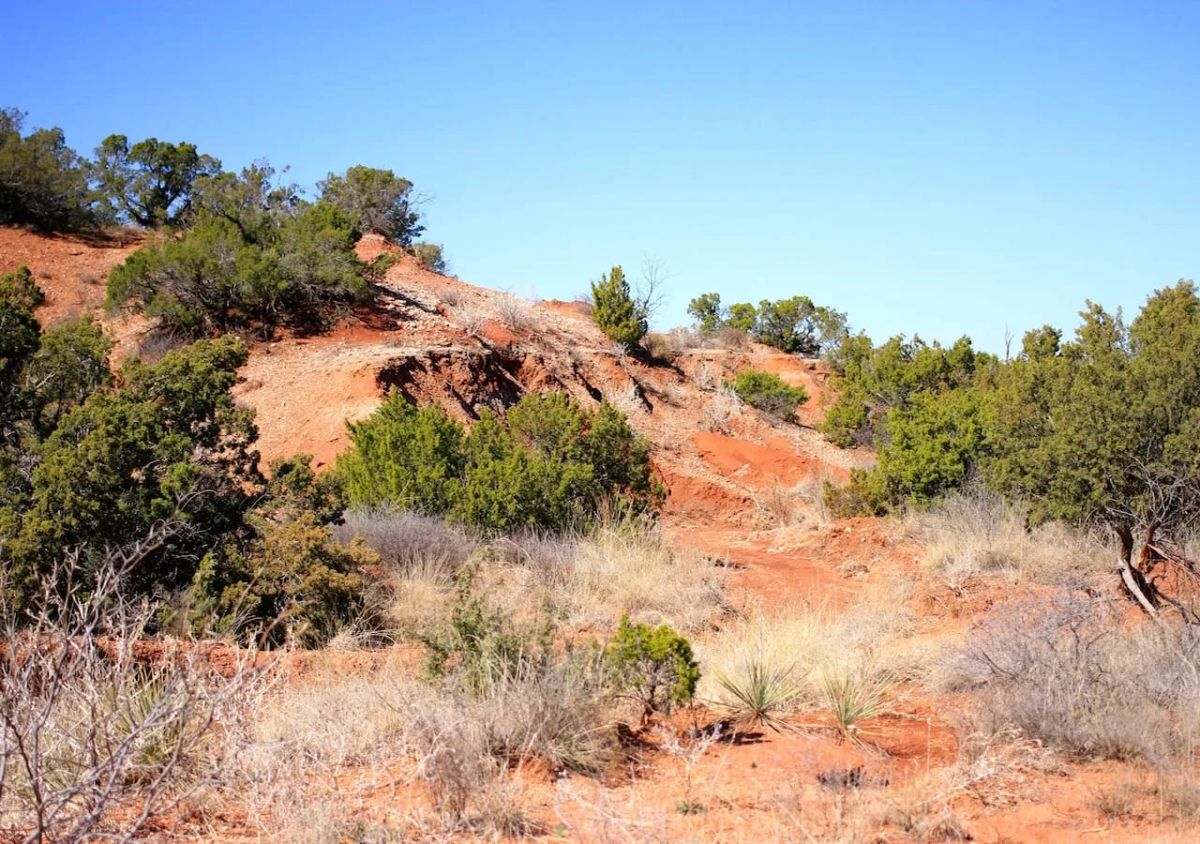 Decorative background for Red Rock Ranch Tract 7 image 7