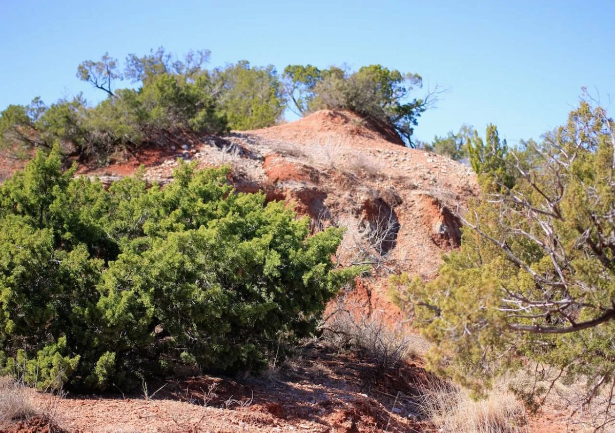 Decorative background for Red Rock Ranch Tract 7 image 8