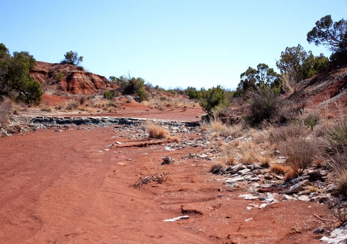 Decorative background for Red Rock Ranch Tract 7 image 10