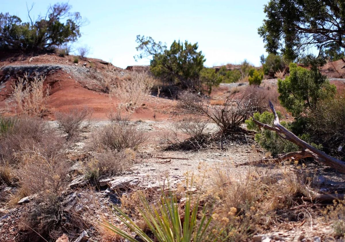Decorative background for Red Rock Ranch Tract 7 image 11