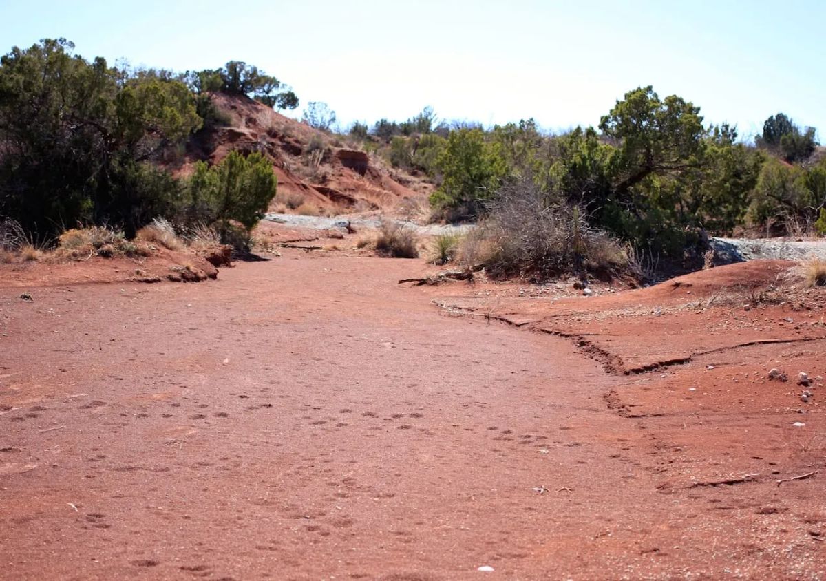 Decorative background for Red Rock Ranch Tract 7 image 12