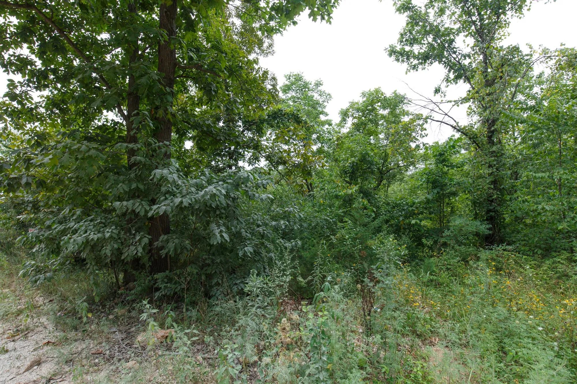 Spring Lake Plat 5 Tract 170 in Miller County, MO