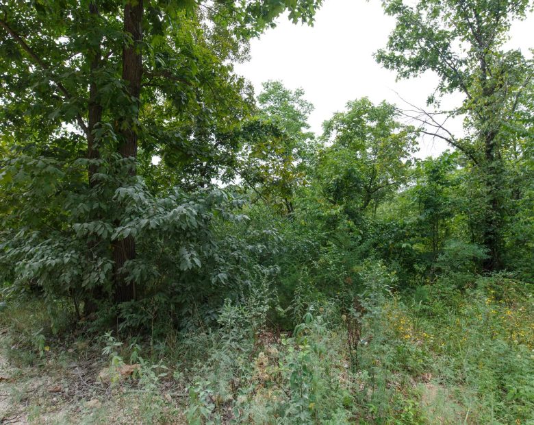 Spring Lake Plat 5 Tract 170 in Miller County, MO
