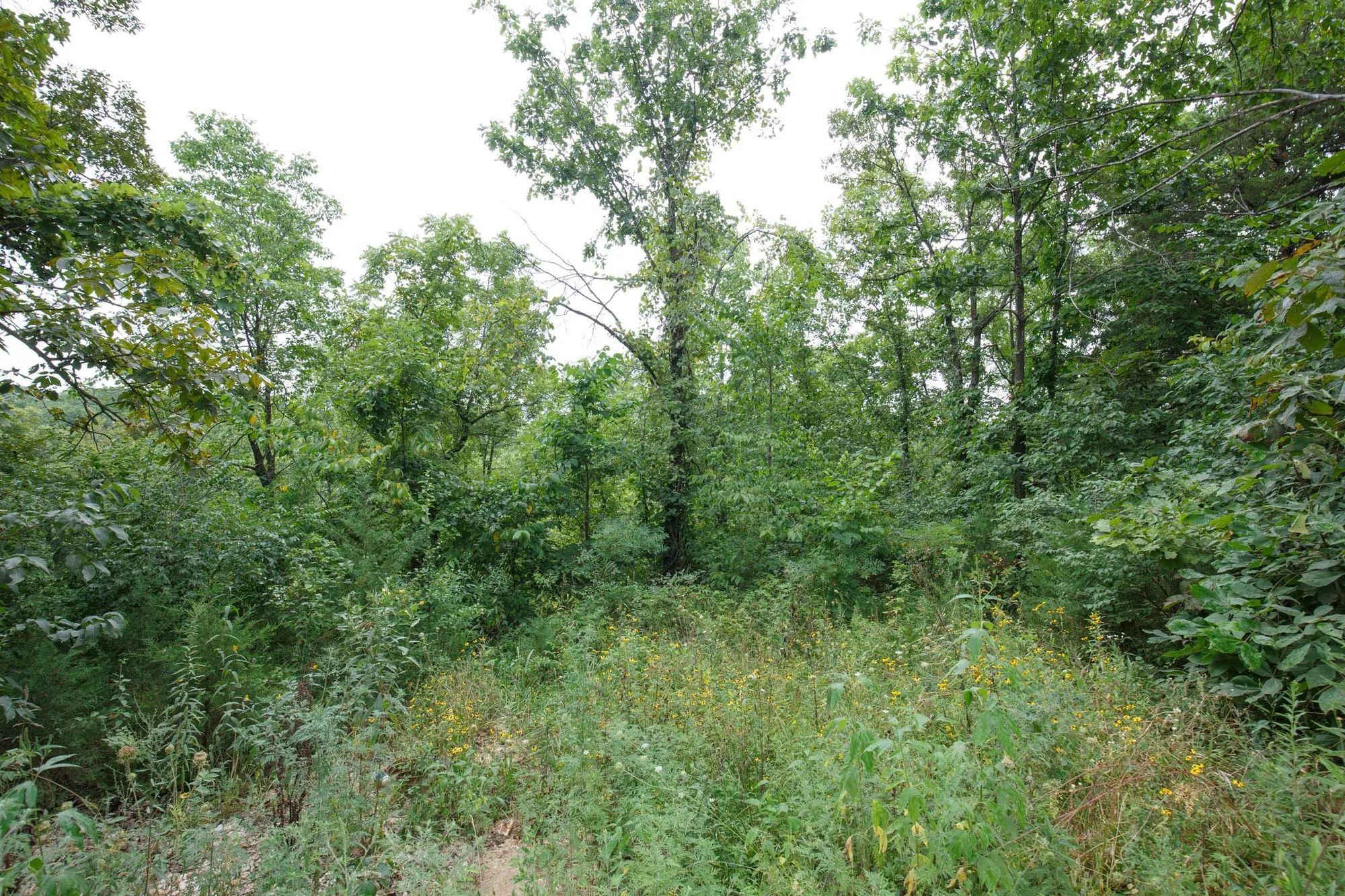 Spring Lake Plat 5 Tract 170 in Miller County, MO