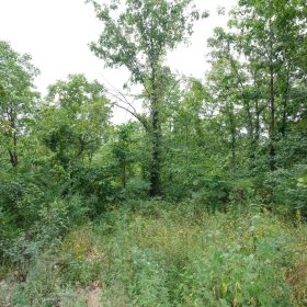 Spring Lake Plat 5 Tract 170 in Miller County, MO