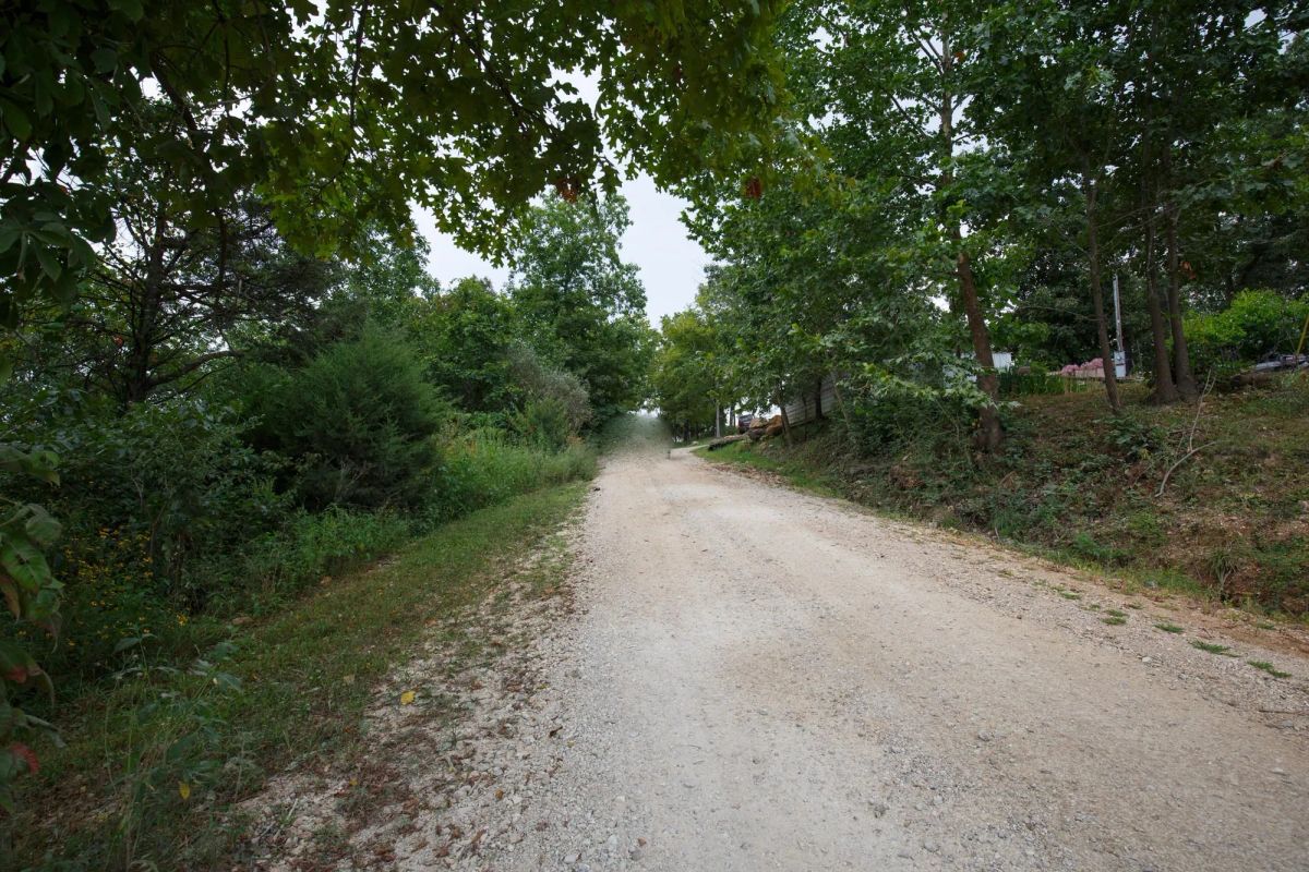 Decorative background for Spring Lake Plat 5 Tract 170 image 6