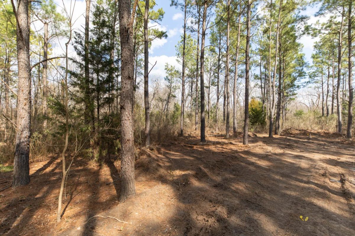 Wishing Star Ranch Tract 48 - Main image