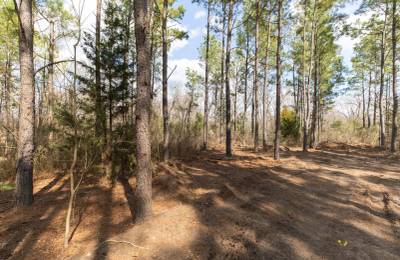 Wishing Star Ranch Tract 48