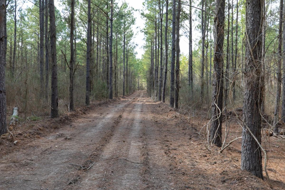 Wishing Star Ranch Tract 48 - Image 4