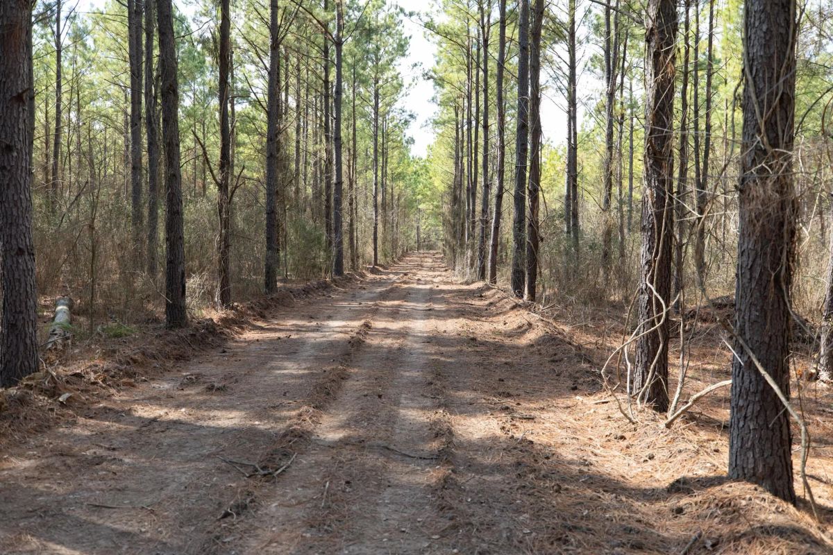 Decorative background for Wishing Star Ranch Tract 48 image 5