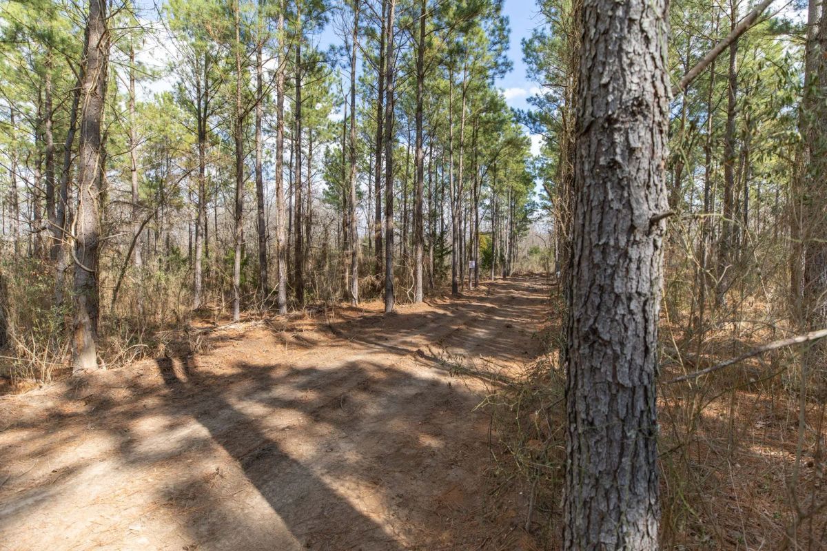 Decorative background for Wishing Star Ranch Tract 48 image 12