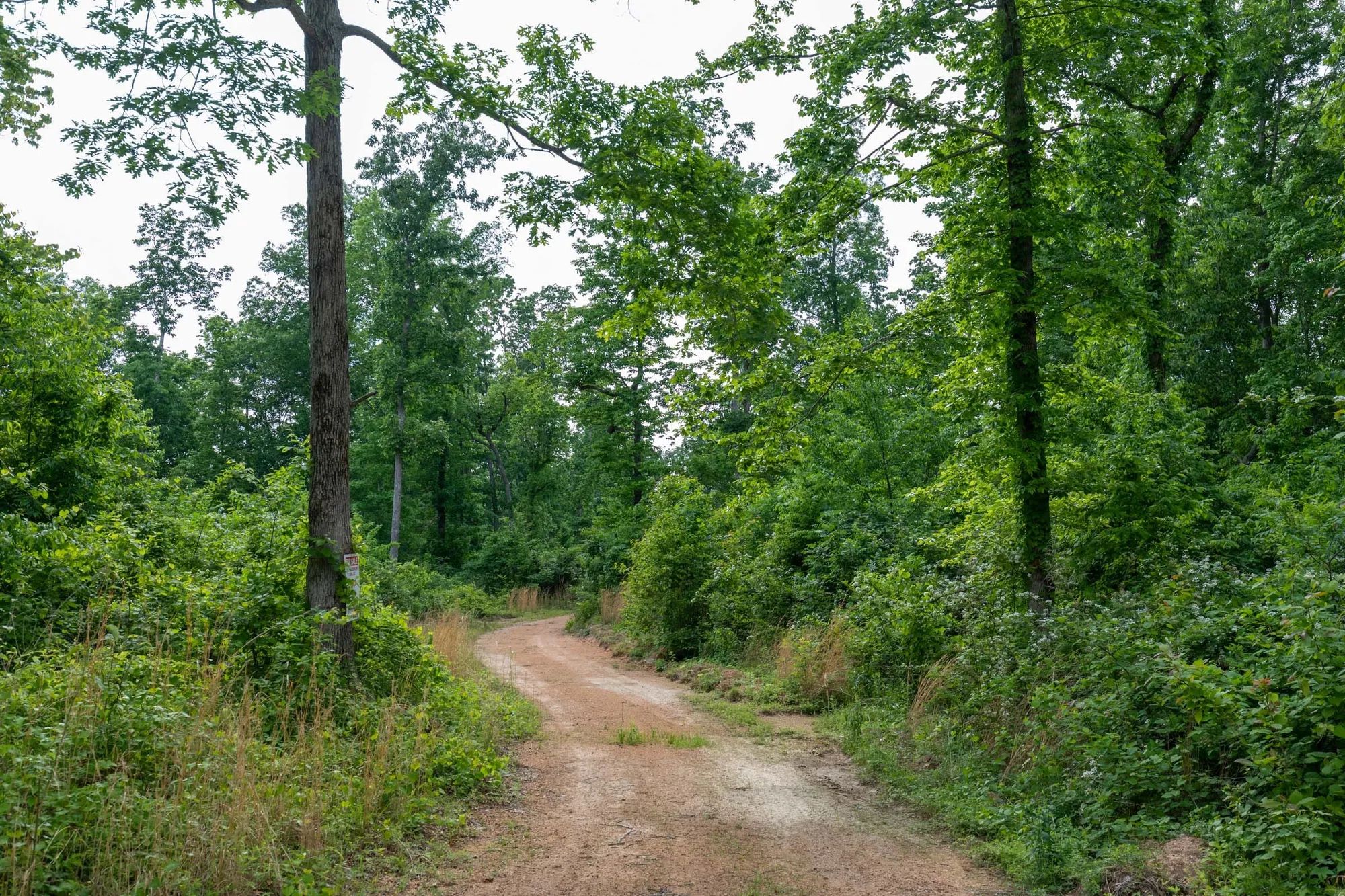 Cedar Creek Tract 49 in Perry County, TN