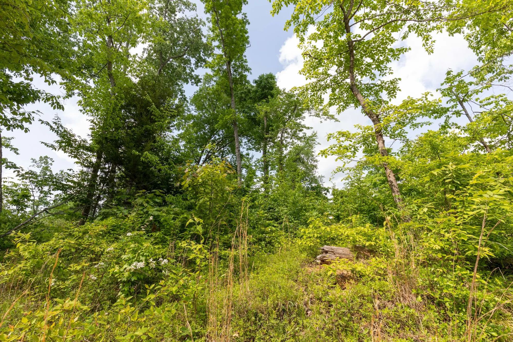 Cedar Creek Tract 49 in Perry County, TN
