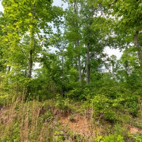 Cedar Creek Tract 49 in Perry County, TN