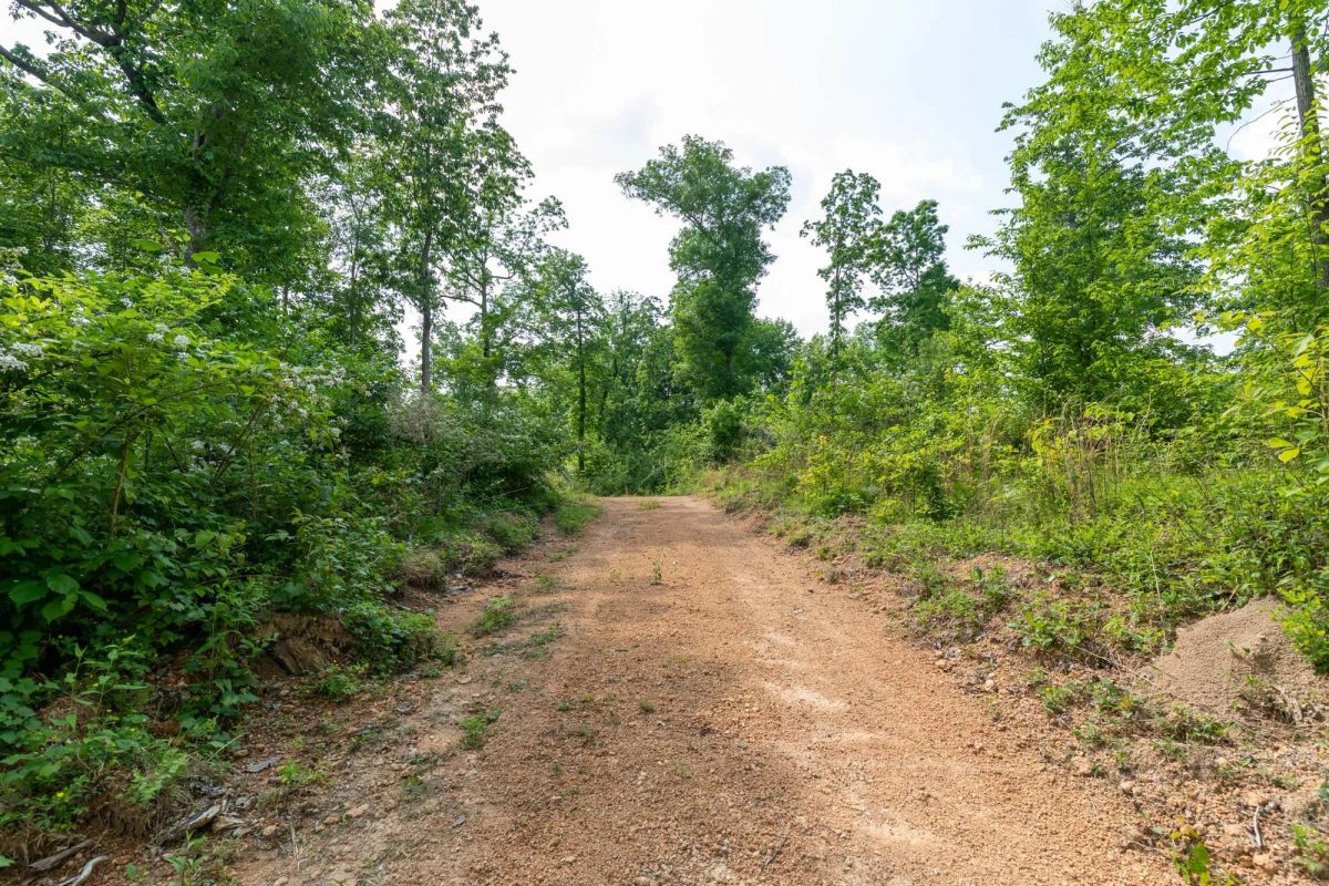 Cedar Creek Tract 49 - Image 4