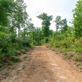 Cedar Creek Tract 49 in Perry County, TN