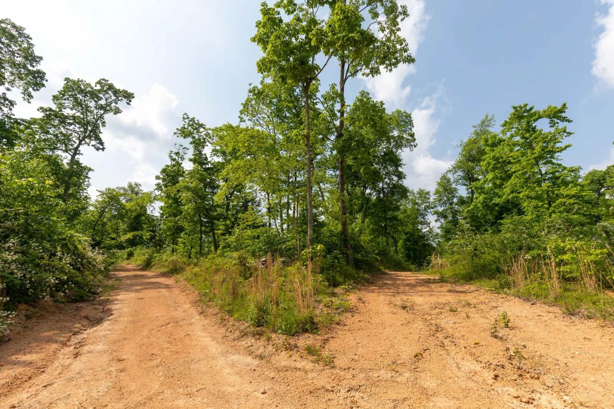 Decorative background for Cedar Creek Tract 49 image 10