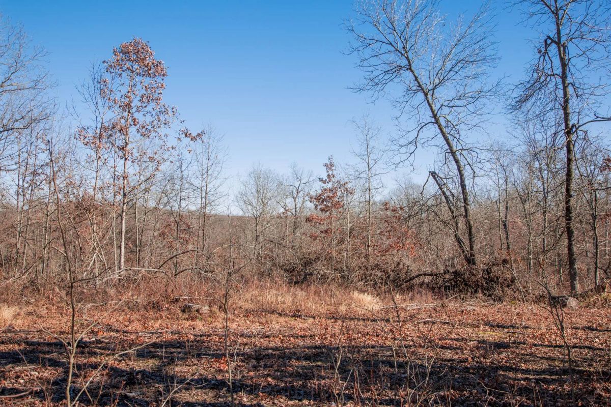 Buffalo Hills Tract 22 - Image 2