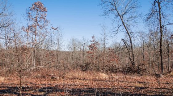 Buffalo Hills Tract 22 in Dallas County, MO