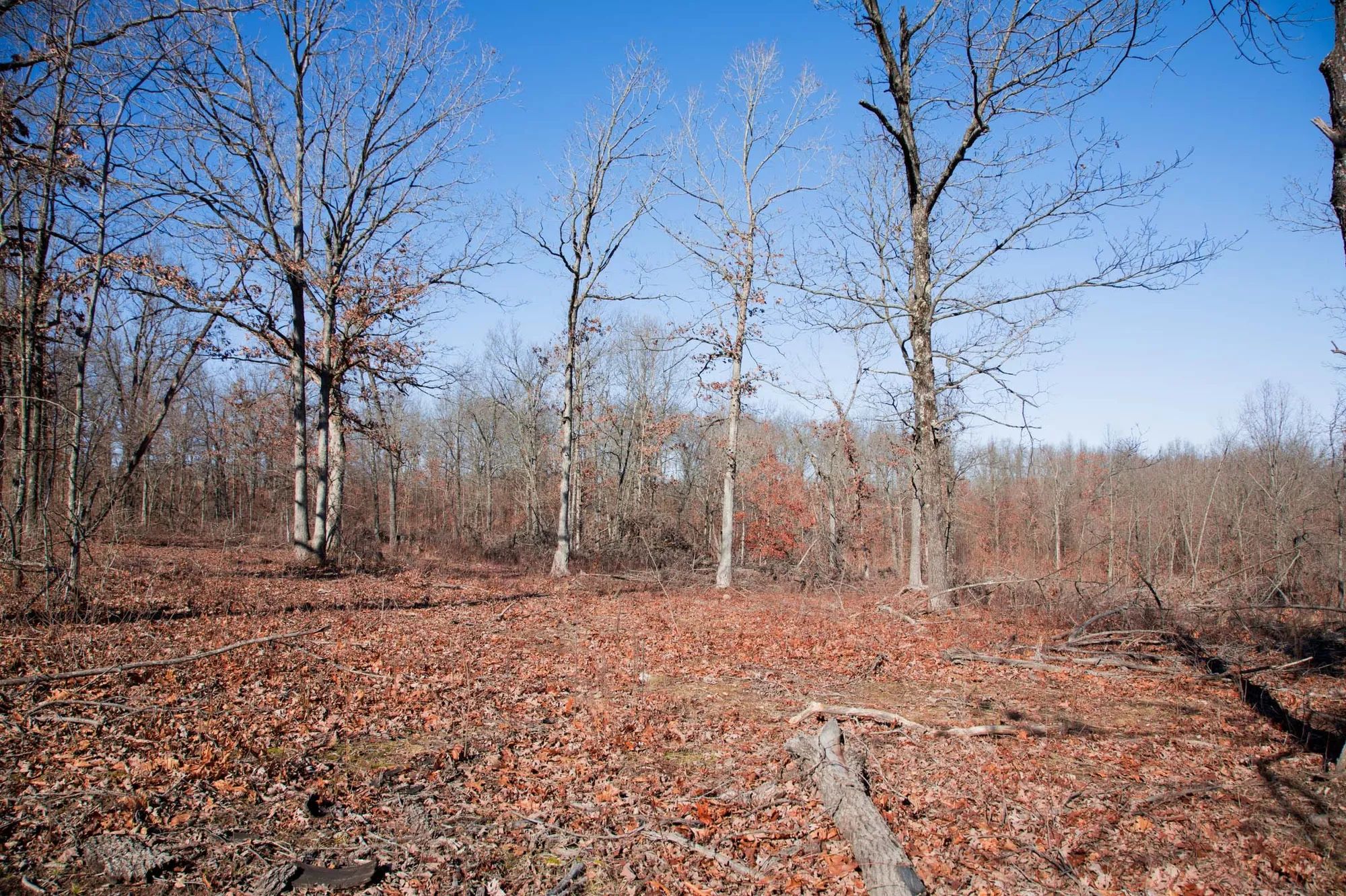 Buffalo Hills Tract 22 in Dallas County, MO