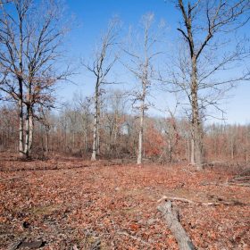 Buffalo Hills Tract 22 in Dallas County, MO
