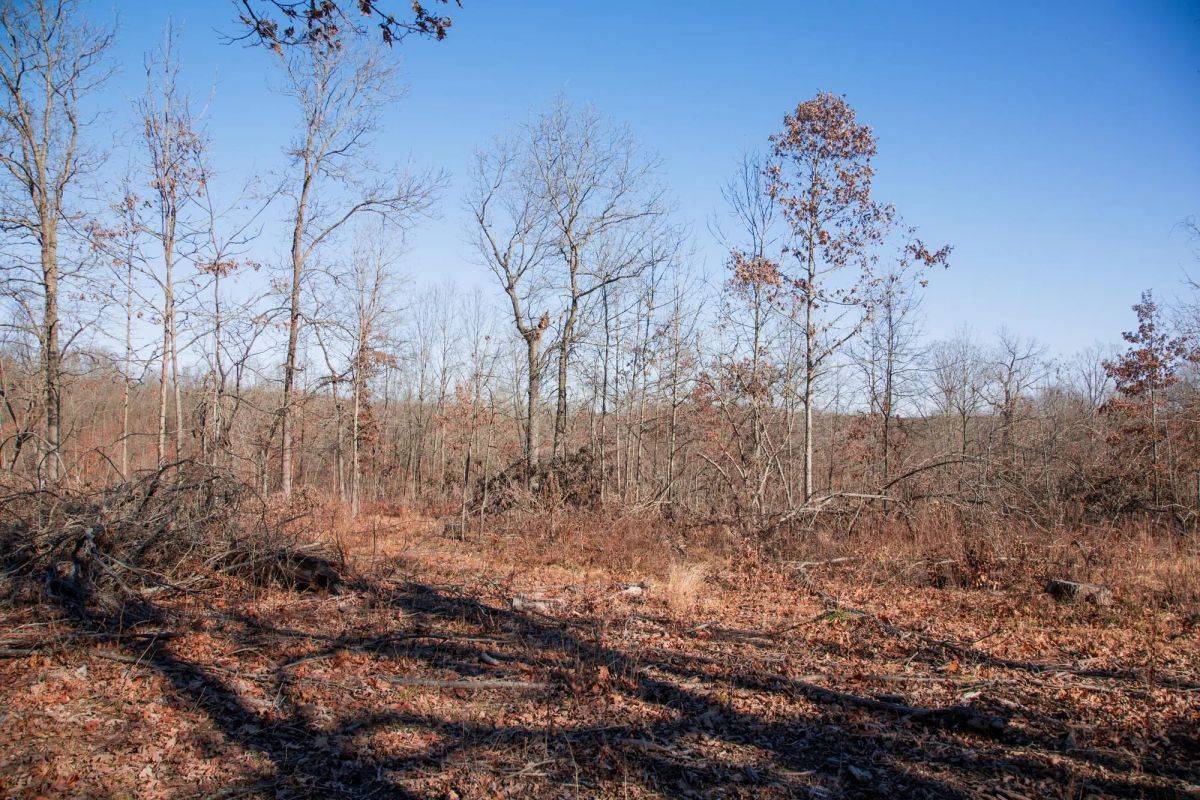 Buffalo Hills Tract 22 - Image 4