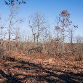 Buffalo Hills Tract 22 in Dallas County, MO