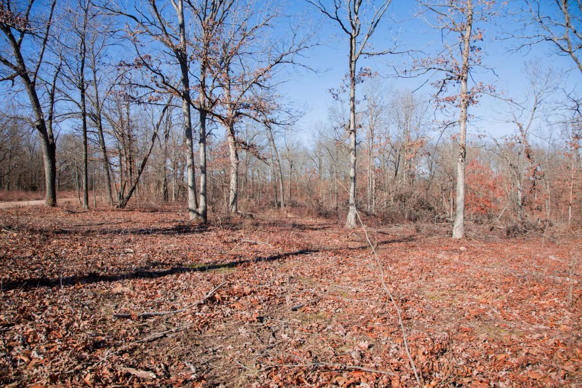 Decorative background for Buffalo Hills Tract 22 image 5