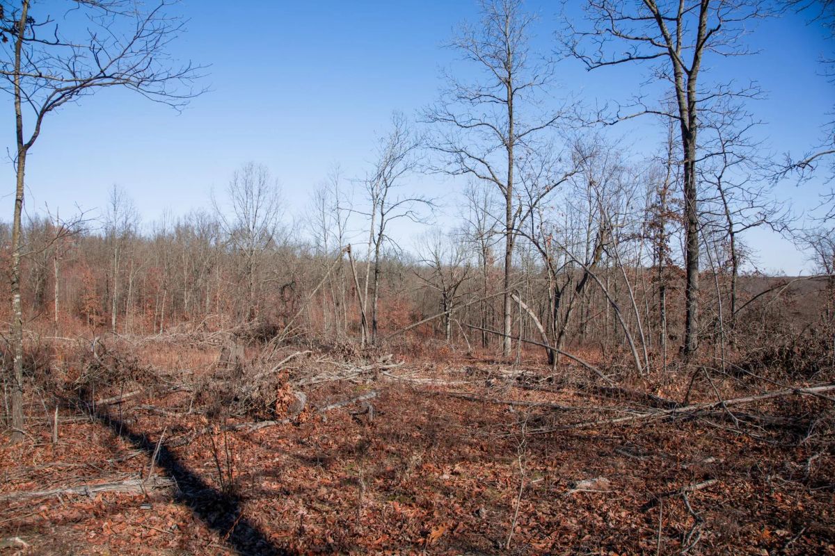 Decorative background for Buffalo Hills Tract 22 image 7