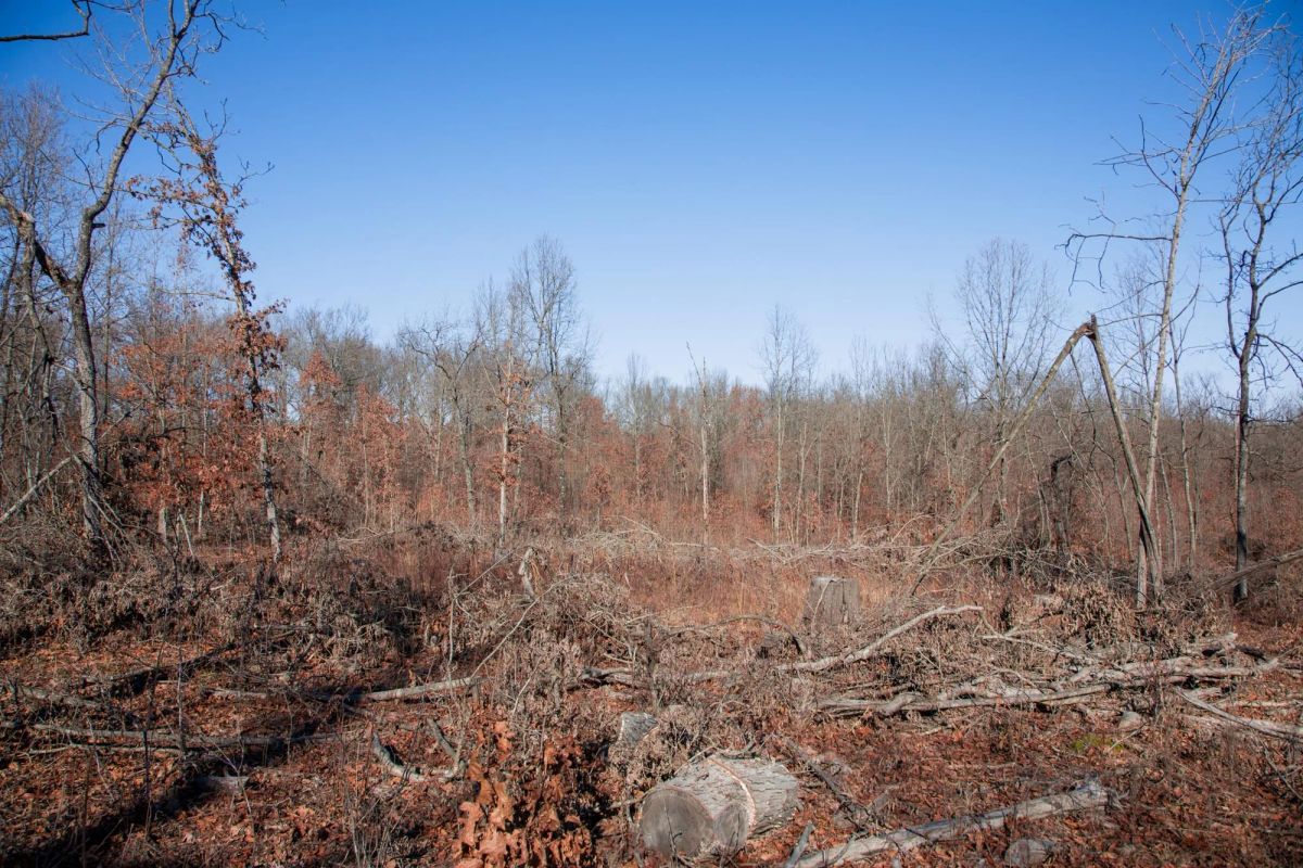 Decorative background for Buffalo Hills Tract 22 image 8