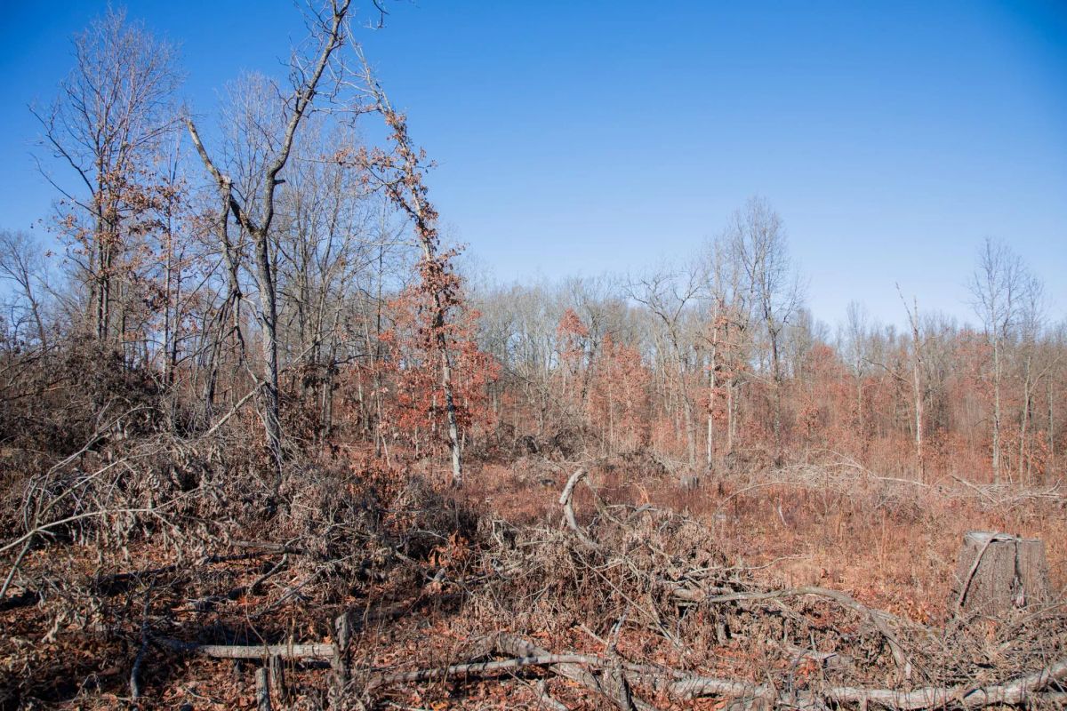 Decorative background for Buffalo Hills Tract 22 image 9