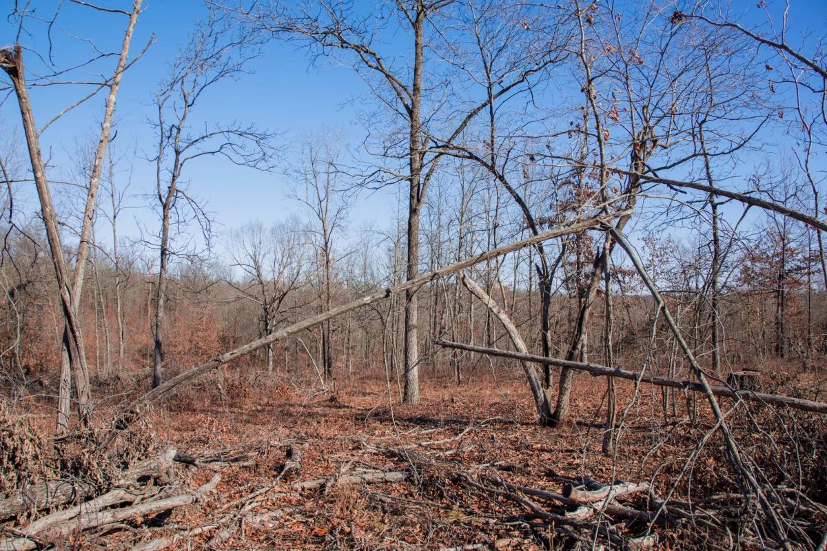 Decorative background for Buffalo Hills Tract 22 image 10